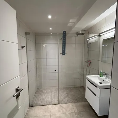 Haubentaucher Mit Meerblick Binz