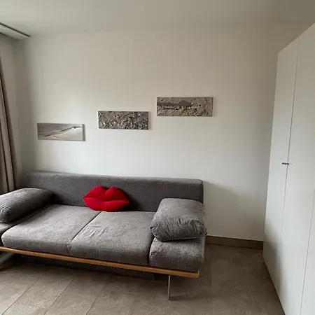 Haubentaucher Mit Meerblick