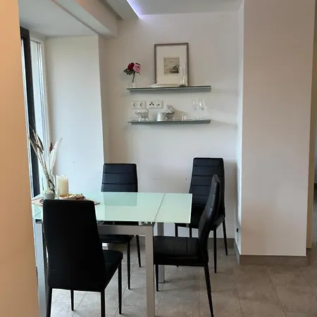 Haubentaucher Mit Meerblick *